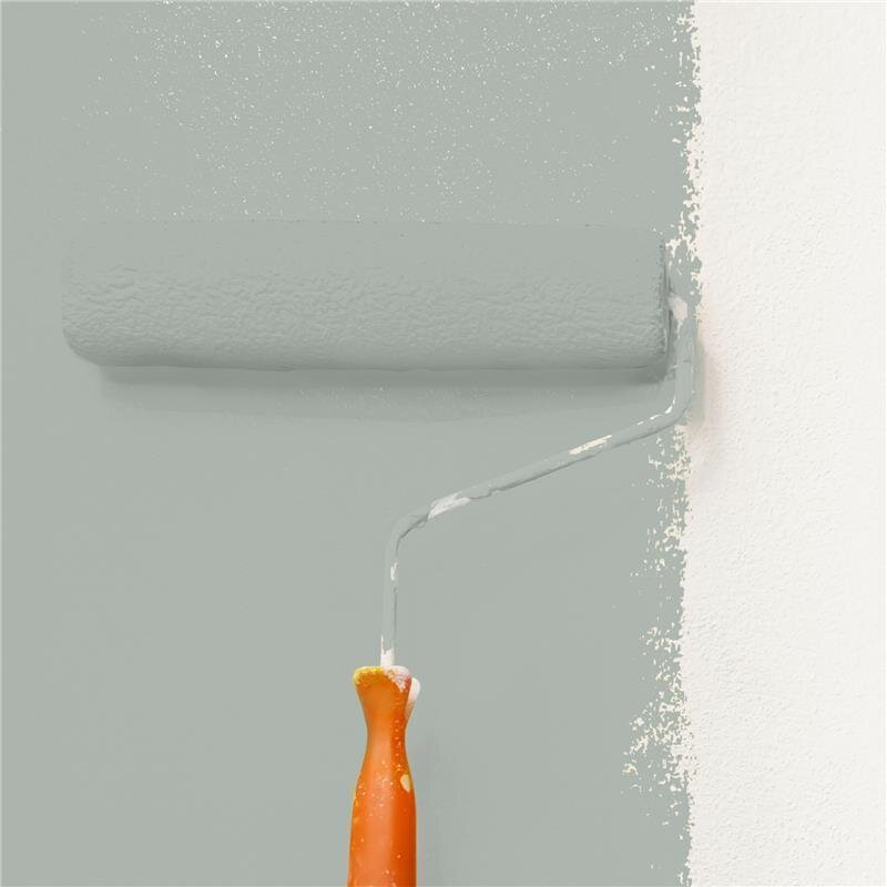 Peinture murale NCS-S-3005-G20Y WALLCOVER Colors pour intérieur (1 litre, 2,5 litres et 5 litres)