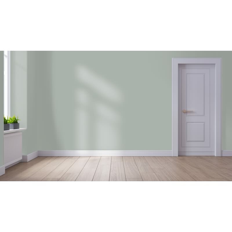 Peinture murale NCS-S-3005-G20Y WALLCOVER Colors pour intérieur (1 litre, 2,5 litres et 5 litres)